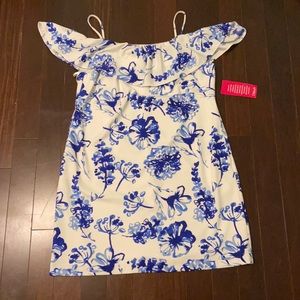 A never worn Beautiful Ralph Lauren dress.